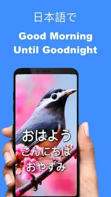 Japanese Morning to Night Love android App screenshot 7